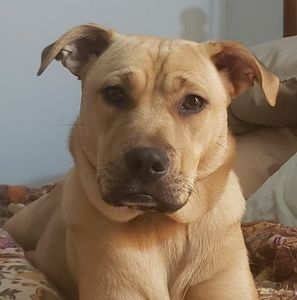 Meet your Posher, Stacey